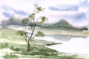 Friedlicher Baum am Seeufer