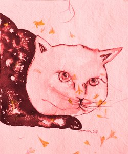 Gelassene rosa Katze