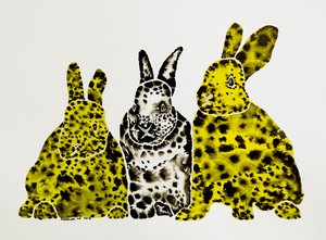 Gefleckte Leopardenkaninchen
