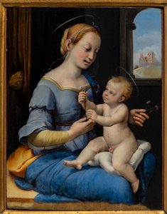 Madonna der Nelken
