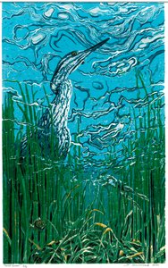 Pond Gazer, 2024