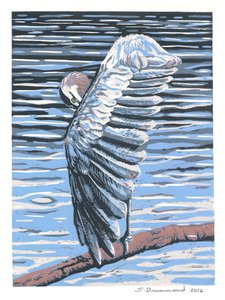 Reflexion, 2016