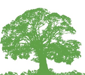 Kletterbaum, 2009 von Sarah Hough