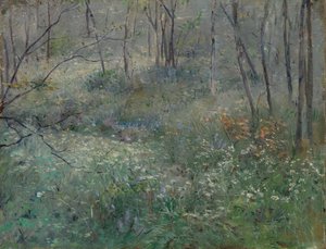 Wilde Petersilie, 1900 von Sarah Paxton Ball Dodson
