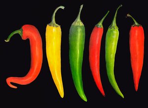 Fünf Chilis, 2024