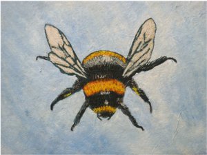 Hummel, 2015 von Sarah Thompson Engels