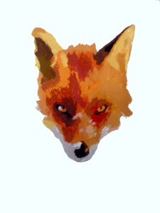 Fuchsgesicht, 2013