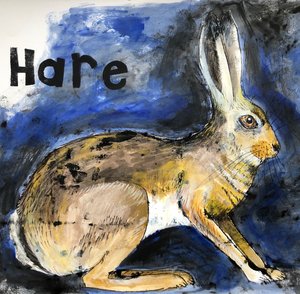 Hase
