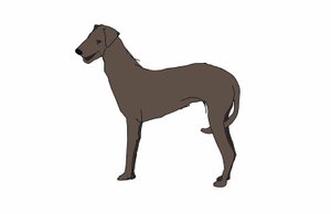 Jagdhund von Sarah Thompson Engels