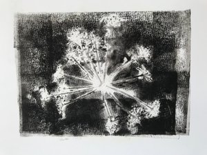 Samenkopf II von Sarah Thompson Engels