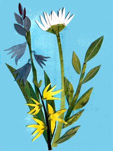 Frühlingsblumen