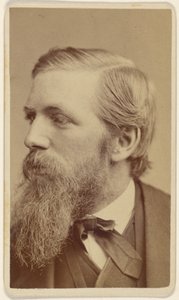 [Robert Swain] Gifford von Sarony and Co.
