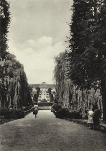 Potsdam, Die Terrassen von Sanssouci (s/w Foto) von Sasha Stone