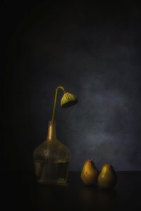 Stimmungsvolle Lotusblüten und Birnen von Saskia Dingemans