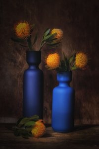 Orange Blüten in Blau von Saskia Dingemans