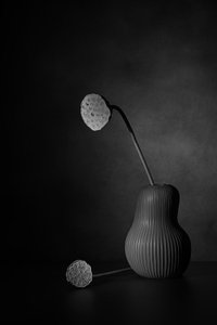 Ruhiges Lotus-Stillleben von Saskia Dingemans