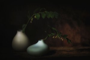 Gelassenes Botanisches Stillleben von Saskia Dingemans