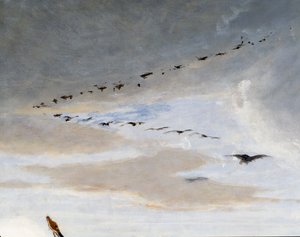 Vögel in V-Formation (Detail) von Saverio Altamura
