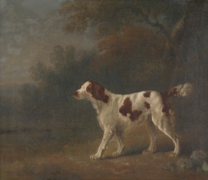 Ein Setter am Waldrand von Sawrey Gilpin