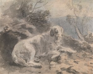Ein Setter in einer Landschaft
