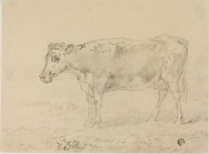 Kuh von Sawrey Gilpin
