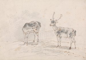 Reh und Hirsch von Sawrey Gilpin