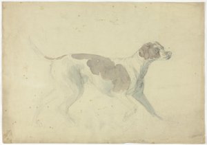 Fuchshund (recto); Skizzen von Pferd und Reiter (verso)