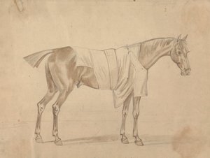 Pferd in Decke gekleidet von Sawrey Gilpin