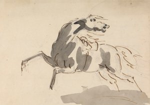 Pferd, das nach links läuft... von Sawrey Gilpin