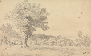 Landschaft mit Hirschen