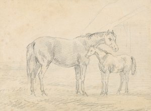 Stute mit Fohlen von Sawrey Gilpin