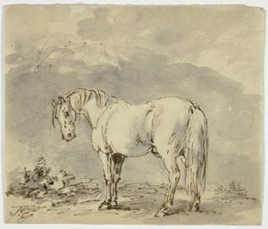 Stehendes Pferd mit gedrehtem Kopf von Sawrey Gilpin