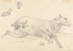Studie eines liegenden Pferdes
