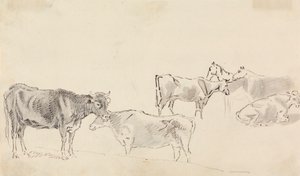 Studie von Rindern mit Pferden im Hintergrund von Sawrey Gilpin