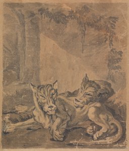 Zwei Tiger von Sawrey Gilpin