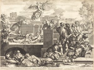 Aegros Curare von Sébastien Bourdon
