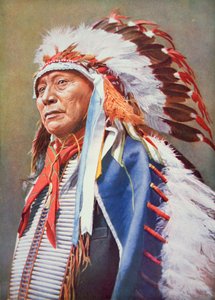 Häuptling Hollow Horn Bear (1850-1913) von School American