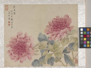 8-Blatt-Album mit Blumen, Mitte 1700er Jahre