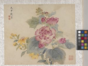 8-Blatt-Album der Blumen, Mitte 1700er von School Chinese