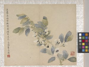 8-Blatt-Album mit Blumen, Mitte 1700er von School Chinese