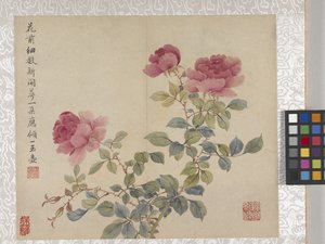 8-Blatt-Album von Blumen, Mitte 1700er