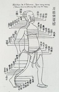 Akupunktur: „Meridian des Magens“