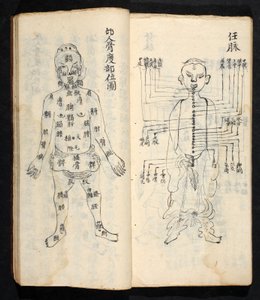 Akupunkturpunkte entlang der Mittellinie des Körpers, aus Jing Guan Qi Zhi, 