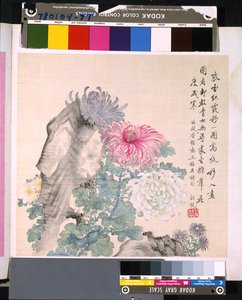 Album von Blumen und Vögeln, unbekanntes Datum von School Chinese