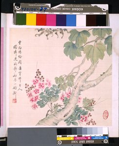 Album von Blumen und Vögeln, Datum unbekannt von School Chinese