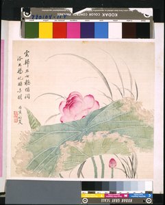 Album der Blumen und Vögel, Datum unbekannt von School Chinese