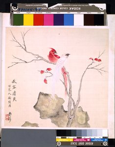 Album von Blumen und Vögeln, Datum unbekannt von School Chinese