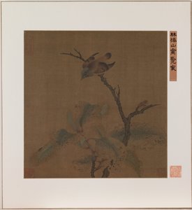 Vogel auf einem Ast
