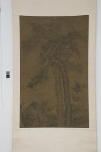 Alte Bäume unter dem Mond von School Chinese