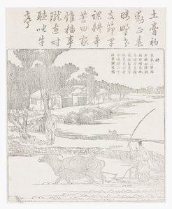 Pflügen mit einem Wasserbüffel im schlammigen Reisfeld von School Chinese